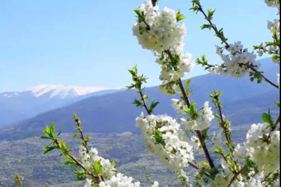 Casas del Castañar Mi Valle Ruralヴィラ 部屋 写真