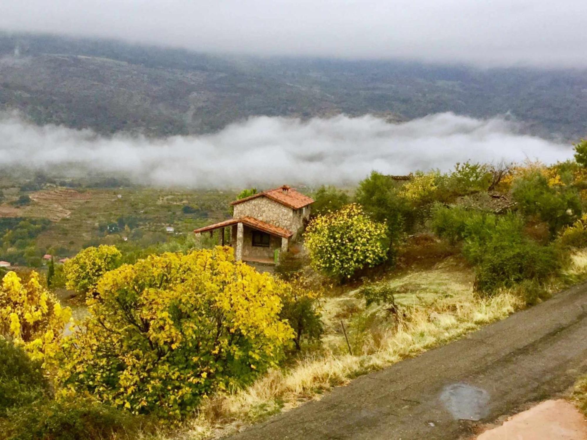 Casas del Castañar Mi Valle Ruralヴィラ 部屋 写真